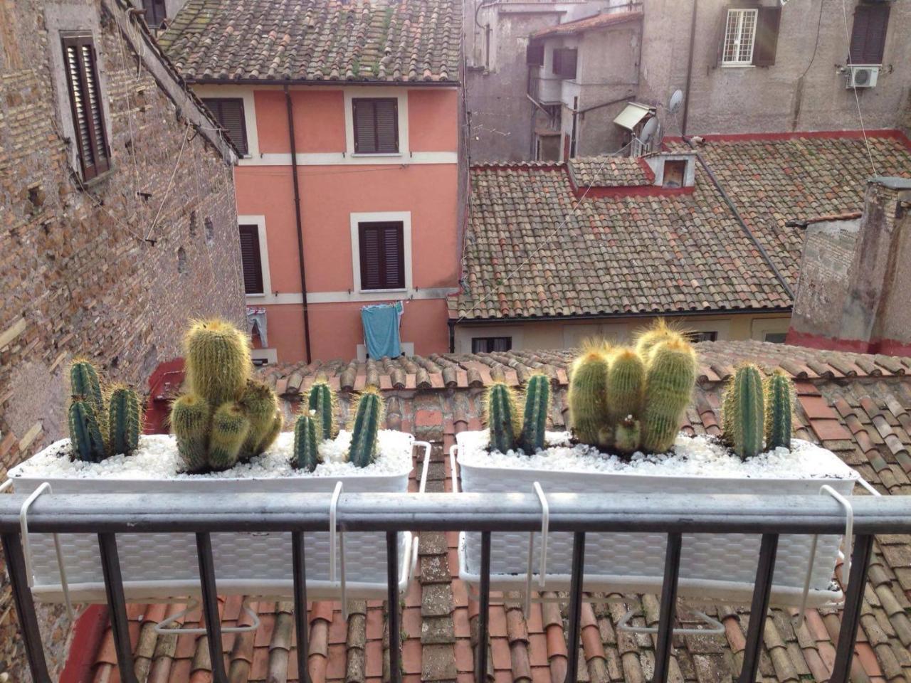 Bbhomerome - Campo Dei Fiori Balcony View Penthouse Bagian luar foto